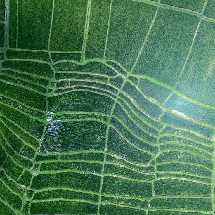 Outdoor terrace seating suitable for families in Madrid